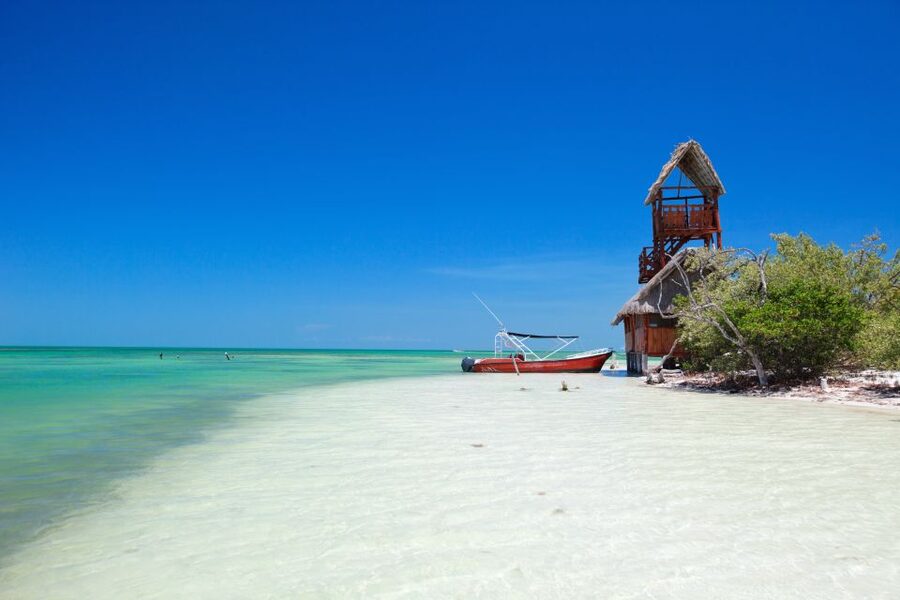From Riviera Maya: Holbox Full-Day Tour with Lunch - The Early Coach Ride and Chiquilá Connection