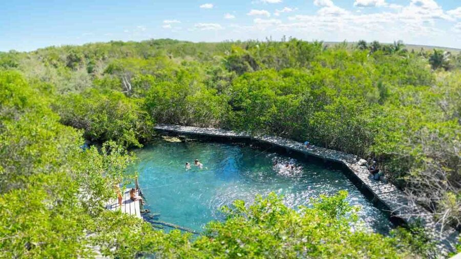 From Riviera Maya: Holbox Full-Day Tour with Lunch - What the Guides Add to a Complicated Schedule