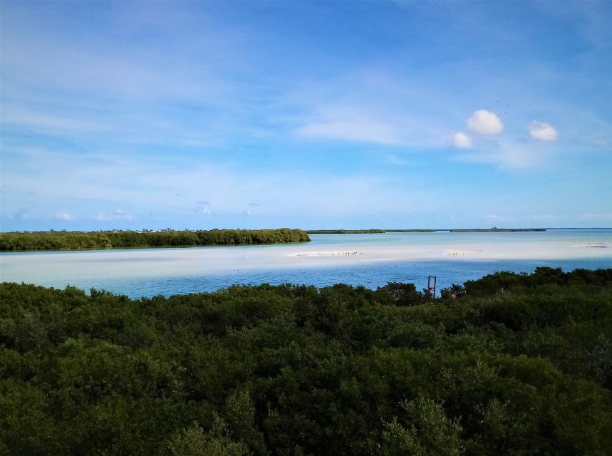 From Riviera Maya: Holbox Full-Day Tour with Lunch - Who Should Book This Holbox Day Trip