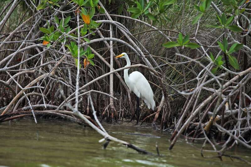 From Riviera Maya: Sian Ka'an Half Day Tour w/ Lunch - Entering Sian Ka’an from Tulum