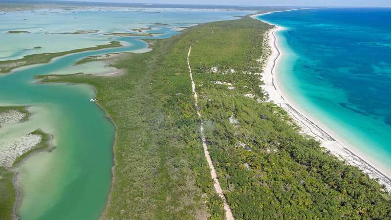 From Riviera Maya: Sian Ka'an Half Day Tour w/ Lunch - The guides can shape the whole day