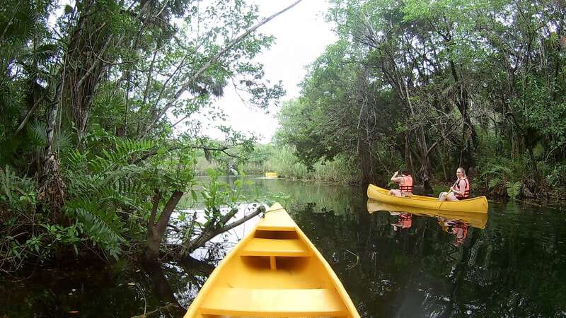 From Tulum: Four-Cenote Adventure - Why the guides make a difference