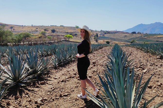Full Day in Tequila with Tasting and party in Cantaritos - What the guides add to the day