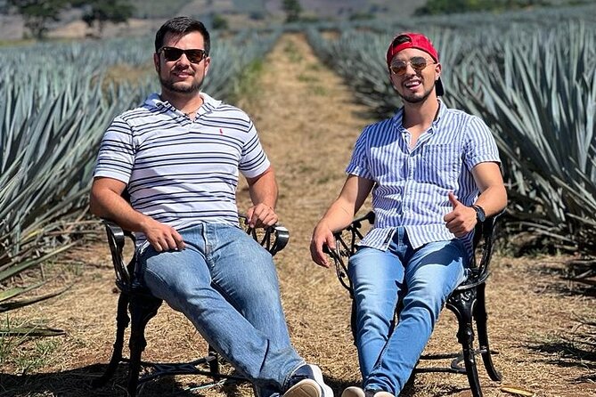 Full Day in Tequila with Tasting and party in Cantaritos - What is included, and where the value lies