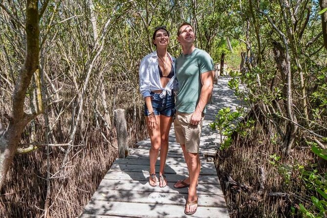 Full-Day Isla Contoy Sailing Nature Experience in Mujeres - Snorkeling at El Farito for about 30 minutes