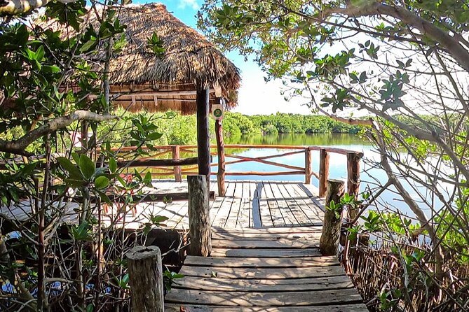 Full-Day Isla Contoy Sailing Nature Experience in Mujeres - Starting at Punta Sam at 10:00 a.m.