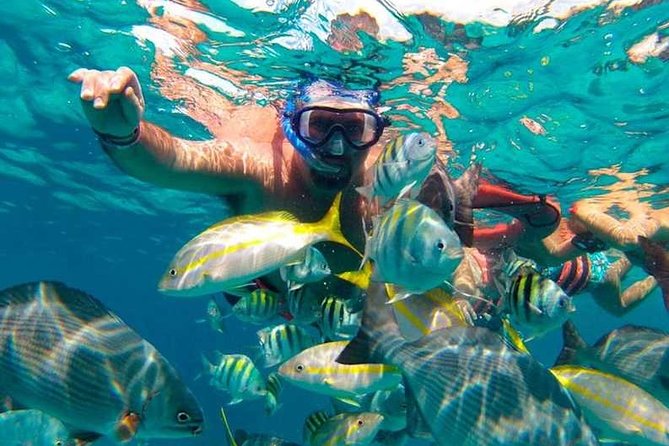 Full-Day Luxurious Catamaran Adventure - Cancún to Isla Mujeres - The reef snorkeling stop