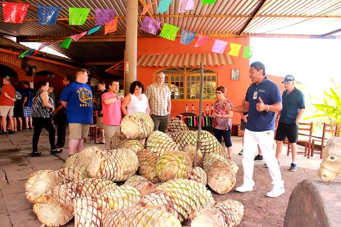 Full-Day Puerto Vallarta City Highlights Tour - Timing is the serious practical issue