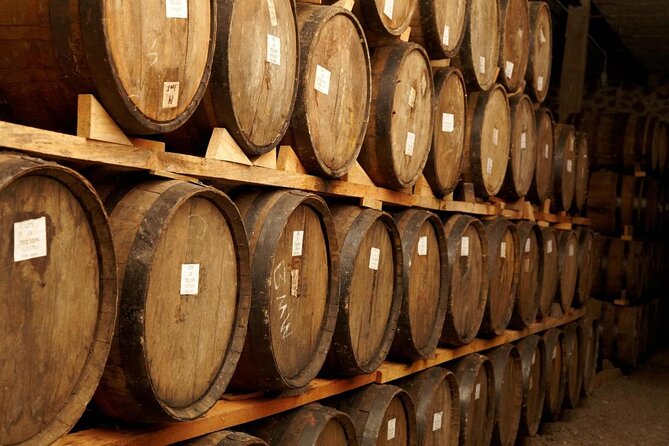 Full-Day Tequila Tour from Guadalajara - From Guadalajara to the blue agave fields