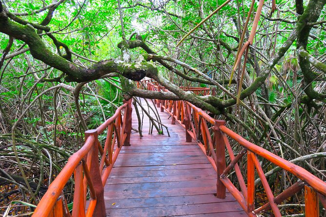 Full-Day Tour of Tulum Ruins and Cenotes with Lunch - Should You Book This Tulum and Cenote Tour?