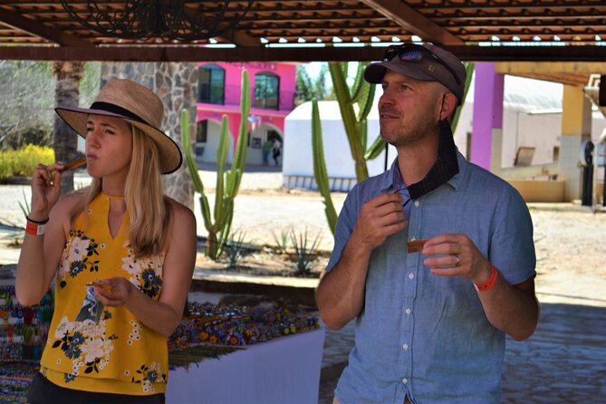 Full Day Tour to Tequila and Amatitán with Fun and Culture - Tequila town: lunch and a short look around
