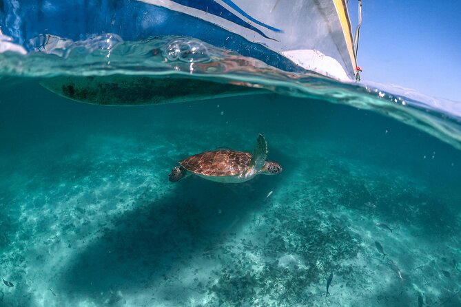Full Day Tulum Ruins Tour Cenote and Swimming with Sea Turtles - Guides make the packed schedule work