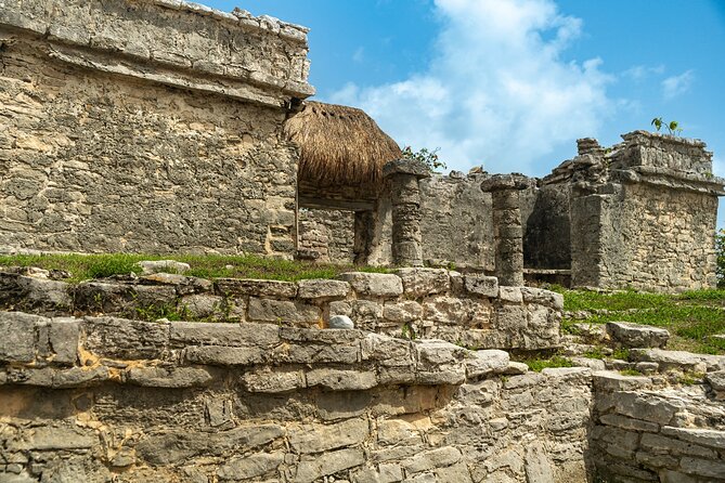 Full Day Tulum Ruins Tour Cenote and Swimming with Sea Turtles - Should you book the Tulum, cenote, and turtle tour?