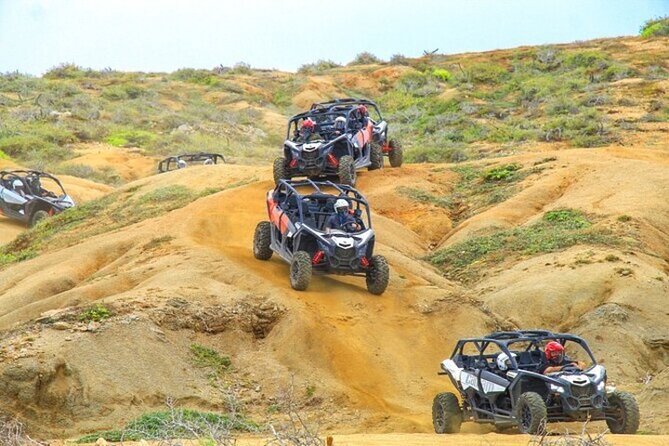 Fun Camel Ride and UTV COMBO with Tequila Tasting! - Starting with camels on the Pacific shore