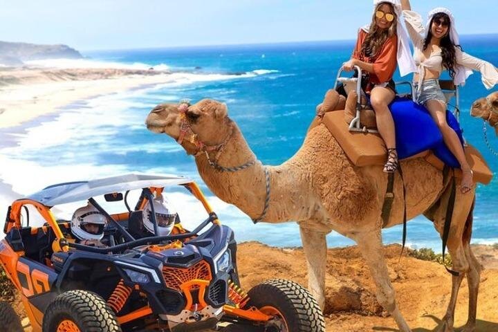 Fun Camel Ride and UTV COMBO with Tequila Tasting! - The views are the strongest reason to go