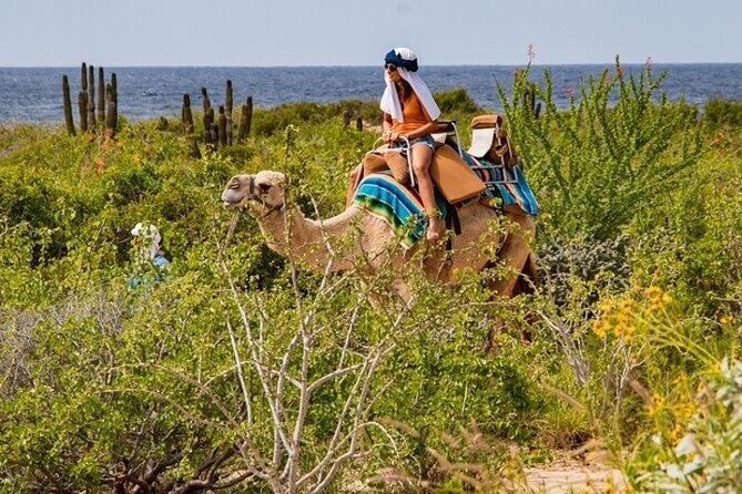 Fun Camel Ride and UTV COMBO with Tequila Tasting! - Tequila tasting, with a sales pitch nearby