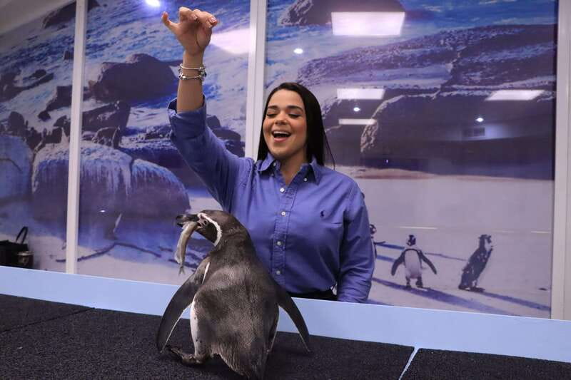 Gran Acuario Mazatlan - Key points to know before you go
