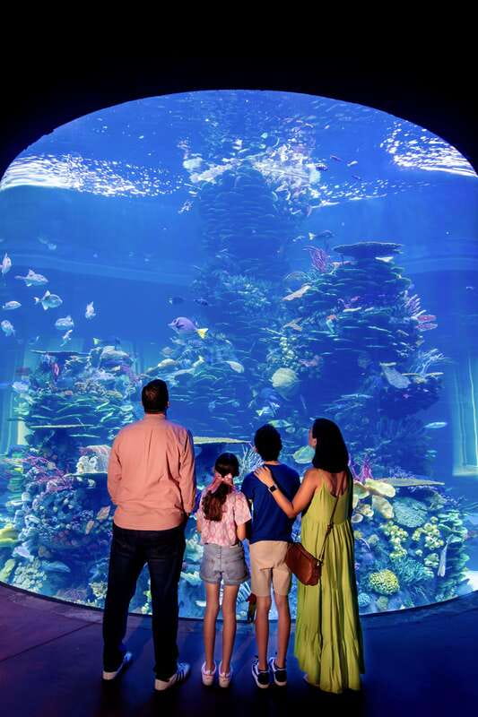 Gran Acuario Mazatlan - The great ocean tank is the main event