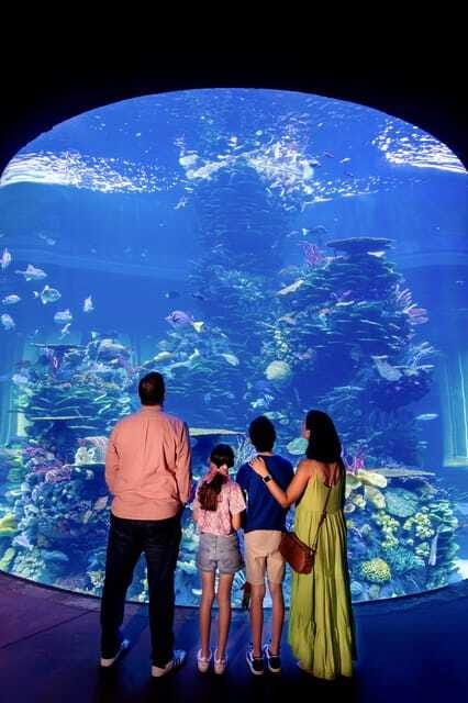 Gran Acuario Mazatlan - Who will enjoy Gran Acuario Mazatlan most