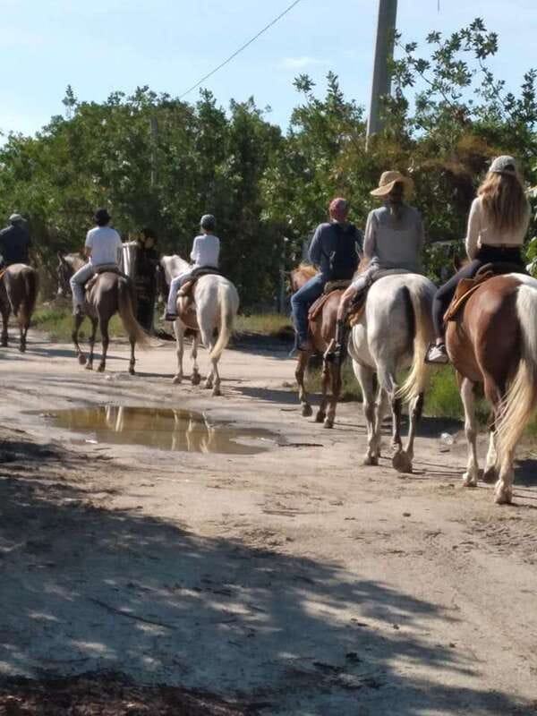 Group horseback ride on Holbox Island, Quintana Roo - Why this Holbox horseback ride feels different