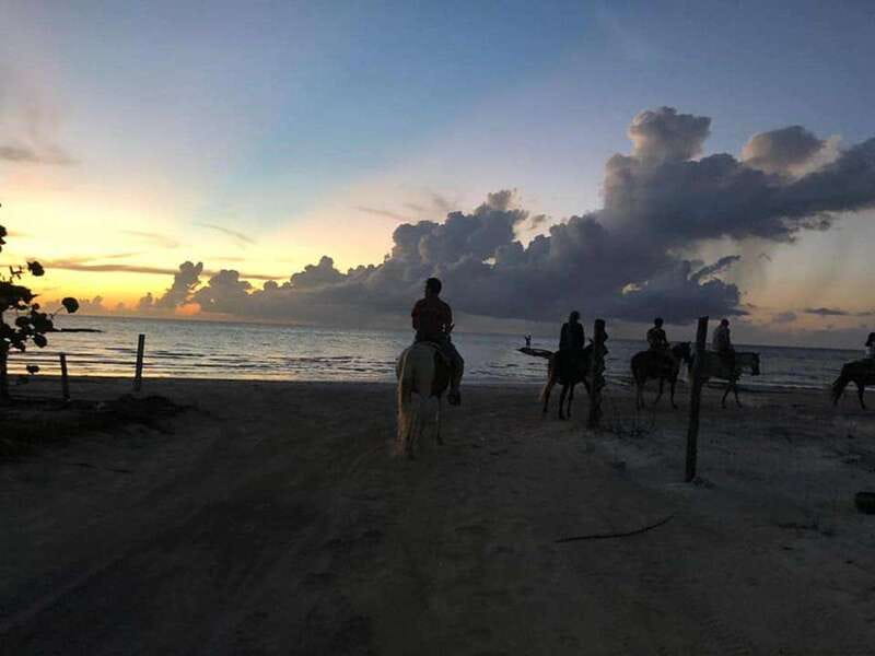 Group horseback ride on Holbox Island, Quintana Roo - Through the mangroves at Punta Siricote
