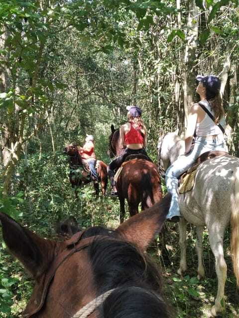 Group horseback ride on Holbox Island, Quintana Roo - How the guide shapes the ride