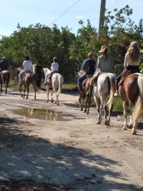 Group horseback ride on Holbox Island, Quintana Roo - Is $71 a fair price?