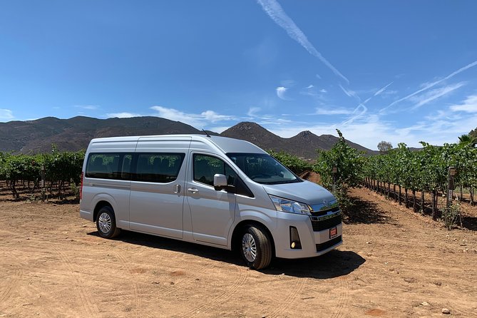 Group tour - Finca La Carrodilla: wine with a farm feel