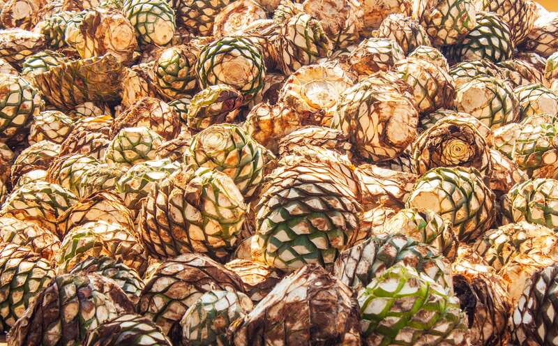 Guadalajara: Lake Chapala and Ajijic Day Trip with Boat Trip - Casa Calera explains tequila through tasting