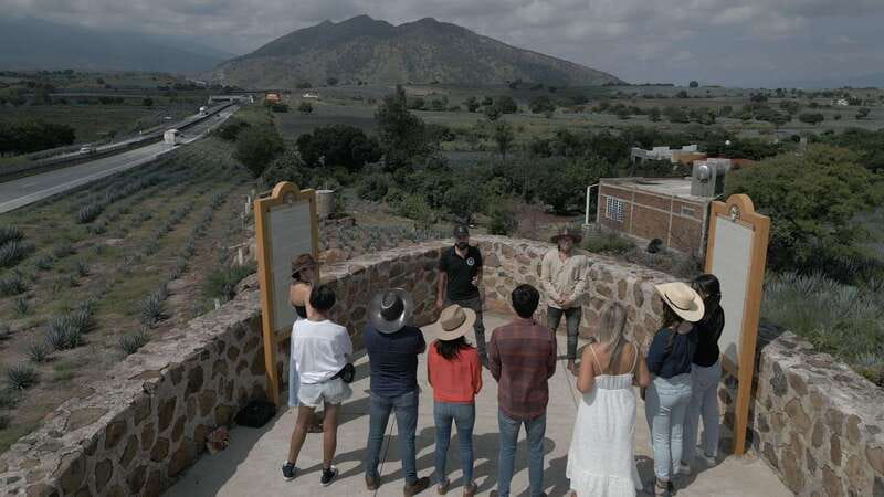 Guadalajara: Premium Tequila Tour with Tastings and Pairings - Tequila Selecto: from old methods to modern production