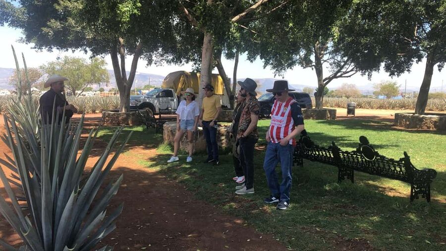 Guadalajara: Tequila Day Trip with Jose Cuervo Option - Who will enjoy this day trip most?