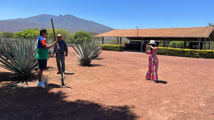 Guadalajara: Tequila Day Trip with Jose Cuervo Option - Seeing how tequila is made