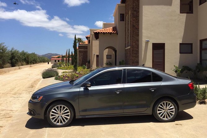 Guadalupe Valley Private Driver Tour - What the $130 price really covers