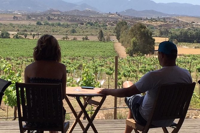 Guadalupe Valley Wine Route Tour in Baja California - Hotel pickup and vehicle expectations