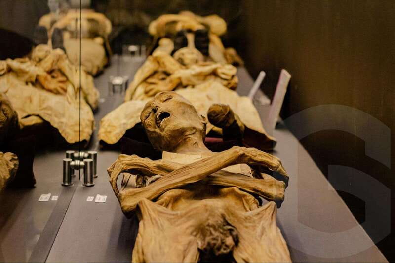 Guanajuato: Mummies, Mines and Tunnels Guided Group Tour - Language, comfort, and group size
