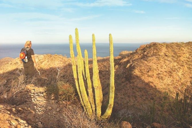 Guided Hike in Tabor Canyon - The canyon route is a three-hour workout
