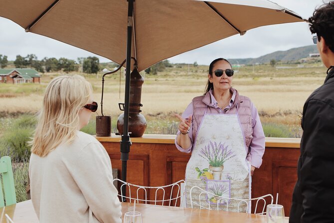Guided Lavender Experience: Cultivation, Uses and Tasting - Walking into the lavender fields near Ensenada