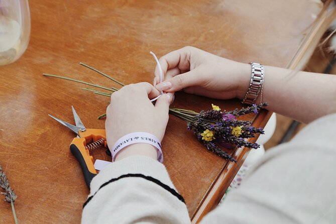 Guided Lavender Experience: Cultivation, Uses and Tasting - What the $35 price really covers