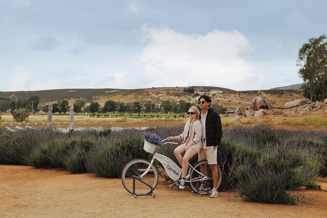Guided Lavender Experience: Cultivation, Uses and Tasting - Cancellation and simple planning details