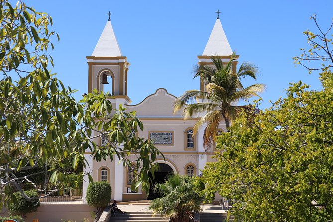 Guided Tour Los Cabos: Boat | Tacos & Tequila | Photos & Transfer - The Tourist Corridor from an air-conditioned seat