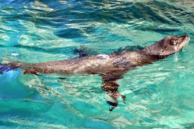 Guided Tour Los Cabos: Boat | Tacos & Tequila | Photos & Transfer - Tacos, tequila, and the limits of the tasting