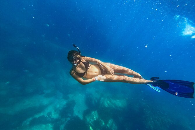 Half Day Cabo Snorkel Adventure with Lunch and Open Bar - What this Cabo snorkel trip really offers