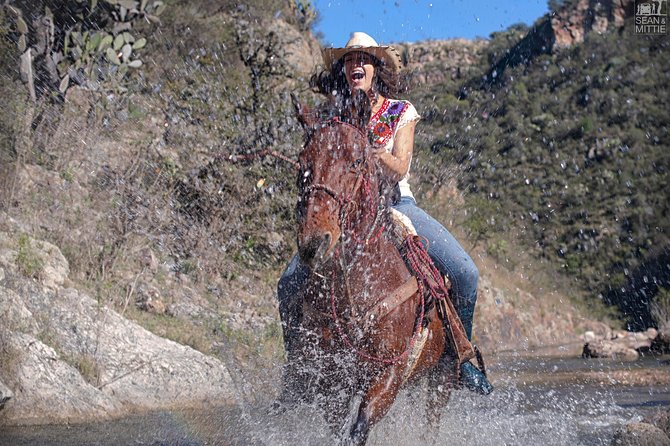 Half-Day Horseback Riding Adventure - A rugged ride through Coyote Canyon