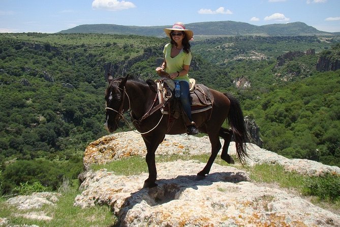 Half-Day Horseback Riding Adventure - Timing, meeting point, and group size