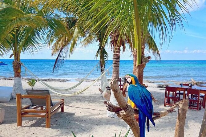 Half-Day Island Tour with Mayan Experience & Beach Break - What is included, and what can cost extra