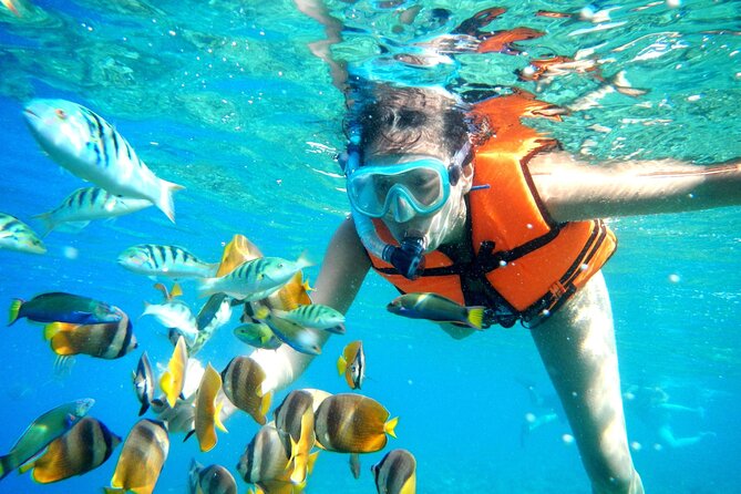 Half-Day Puerto Morelos Snorkeling Experience with Lunch - The Boat Ride and Reef Time