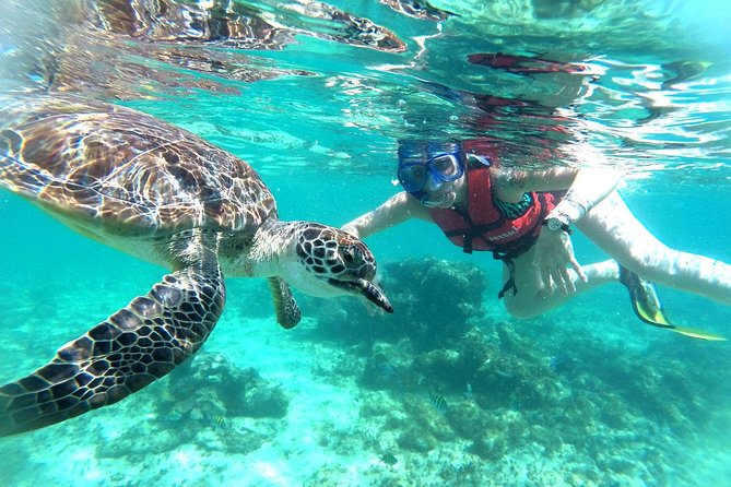 Half-Day Sea Turtle and Cenote Snorkeling Tour from Cancun & Riviera Maya - What to Wear for the Reef and Cave