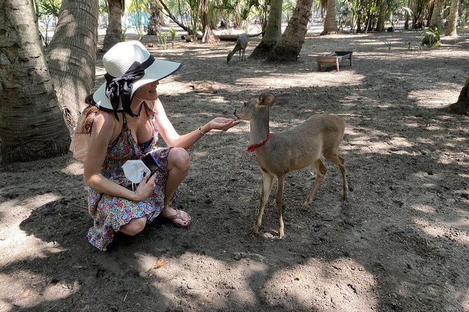 Half-Day Tour to Ventanilla, Mazunte, Zipolite and Puerto Angel - Key points to know before booking