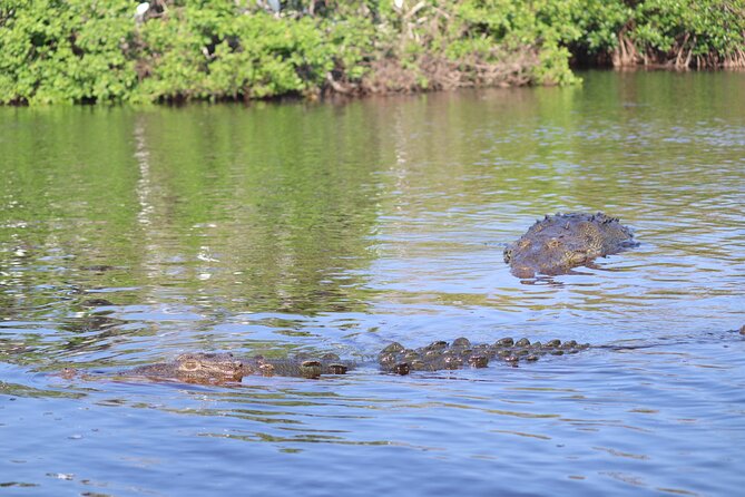 Half-Day Tour to Ventanilla, Mazunte, Zipolite and Puerto Angel - The long road from Huatulco