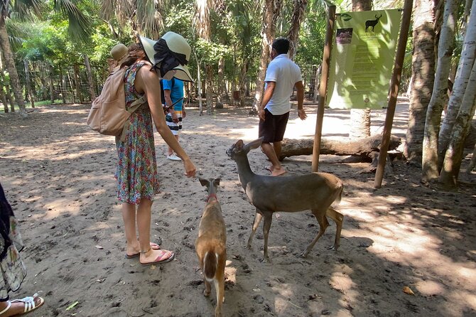 Half-Day Tour to Ventanilla, Mazunte, Zipolite and Puerto Angel - Is $59.68 good value?